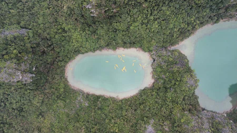Cat Ba: Lan Ha and Ha Long Bay Boat Tour with Kayaking, Cave - Who should book this Lan Ha Bay tour?