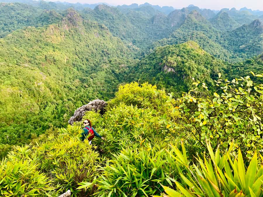 Cat Ba: Lan Ha Bay Halfday Cruise with Kayaking - Meeting at 186 Đường 1/4 in Cat Ba town
