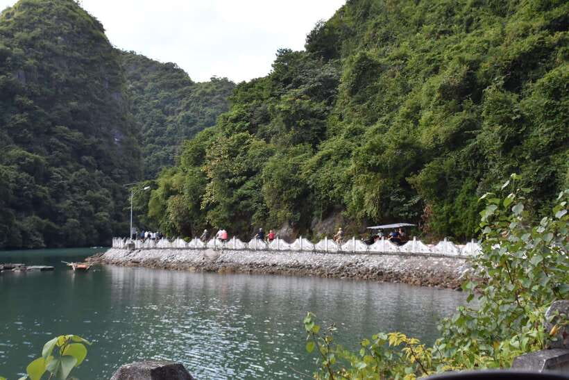 Cat Ba: Lan Ha, HaLong bay full day- biking, kayaking, lunch - Cycling through Cat Ba National Park