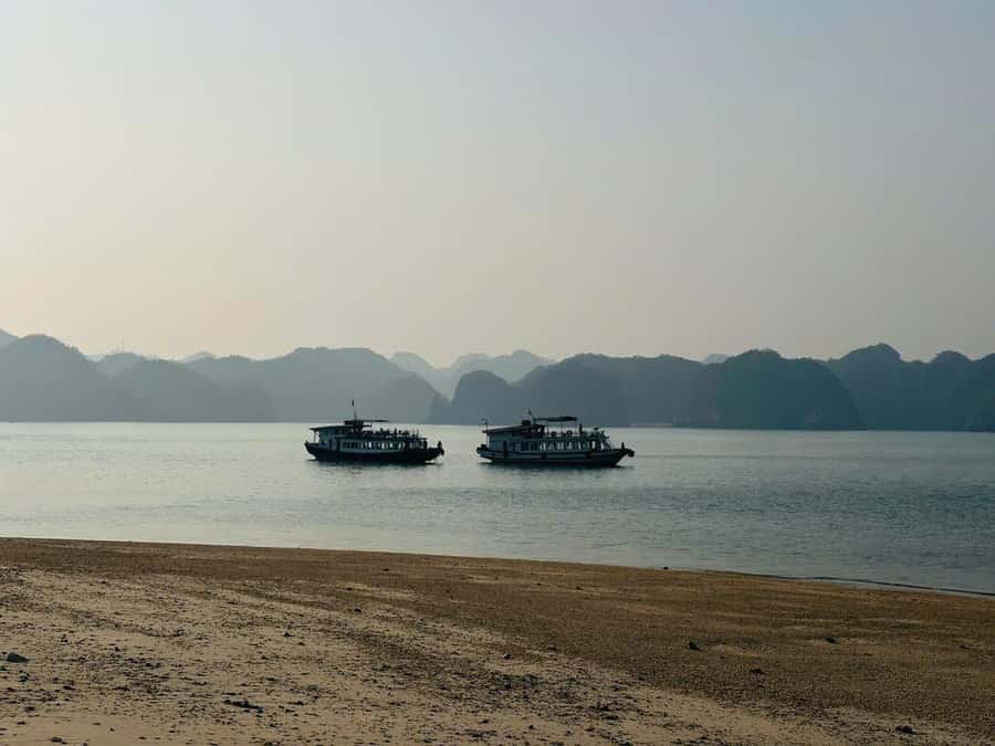 Cat Ba: Night Kayaking with Glowing Plankton - Key points at a glance