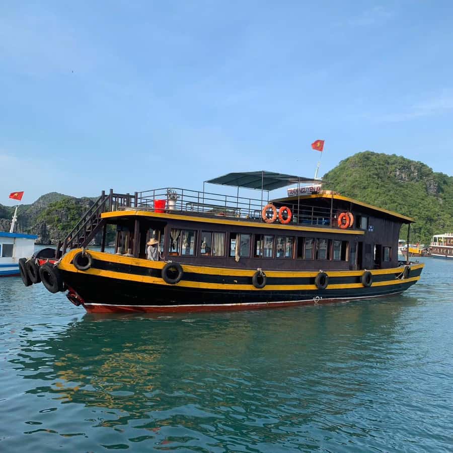 Cat Ba: Night Kayaking with Glowing Plankton - Vietnamese dinner before the dark-water paddle