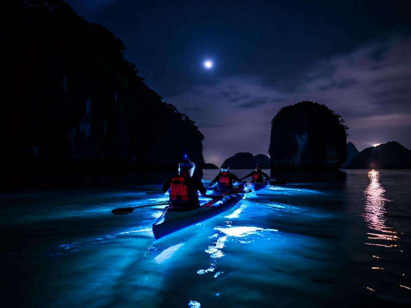 Cat Ba: Sunset and Night kayak with bioluminescent plankton - Key points to know before you book