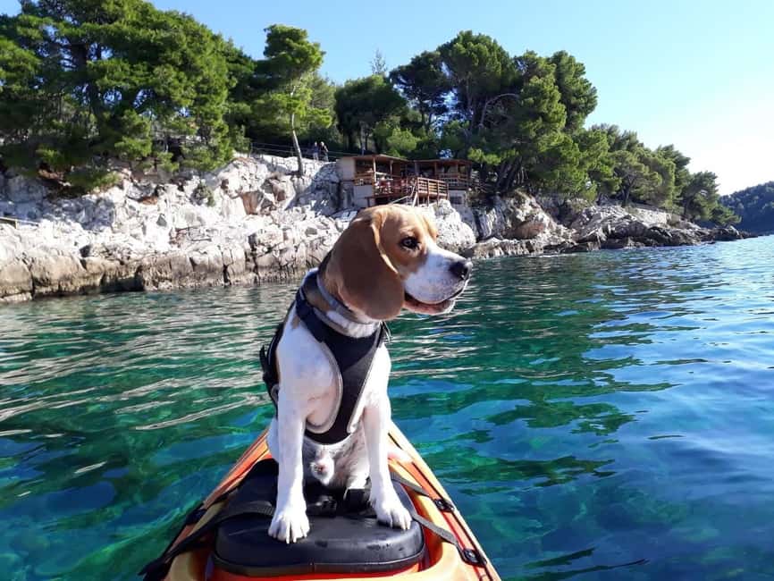 Cavtat: 'Pomalo' Guided Sea Kayaking Tour - Meeting at Beach Blato beneath Ludo More