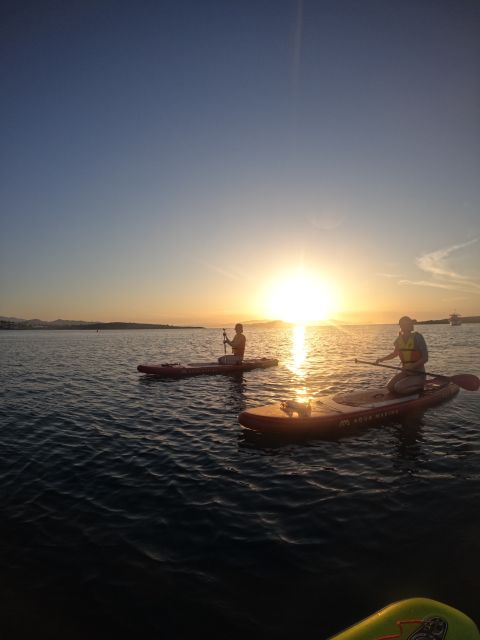 Chania: Stand-up Paddleboard Coastal Sunset Experience - Who will enjoy this most