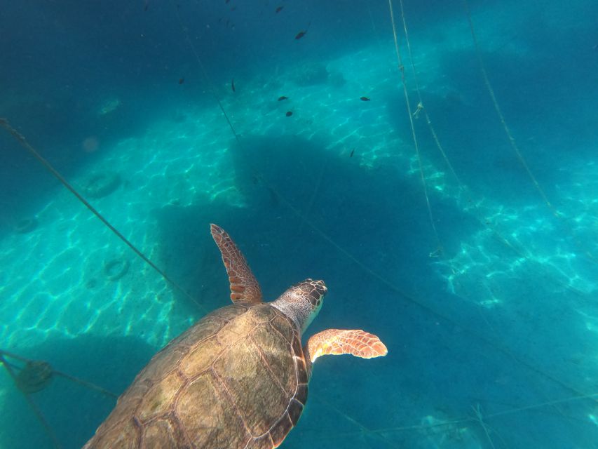 Chania: Stand-Up Paddleboard Small Group Tour - Why a group of eight makes a difference