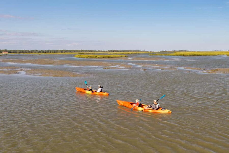 Charleston: Folly Beach Morning Kayak Dolphin Safari - Choosing a morning, afternoon, or sunset departure