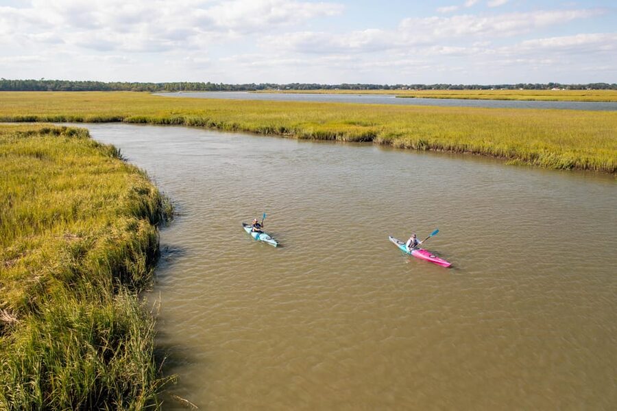 Charleston: Folly Beach Morning Kayak Dolphin Safari - Watching for bottlenose dolphins from a small kayak