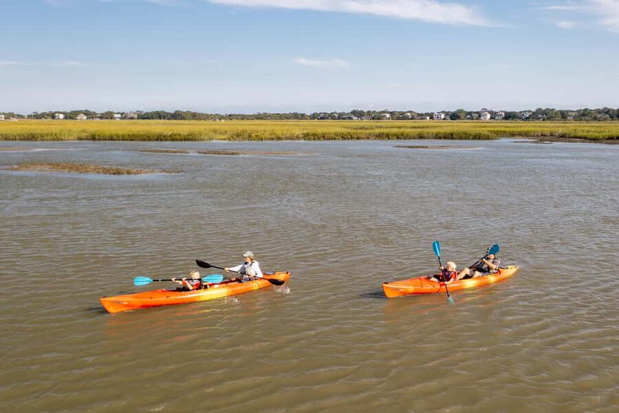 Charleston: Folly Beach Morning Kayak Dolphin Safari - Guides who make the river easier to understand