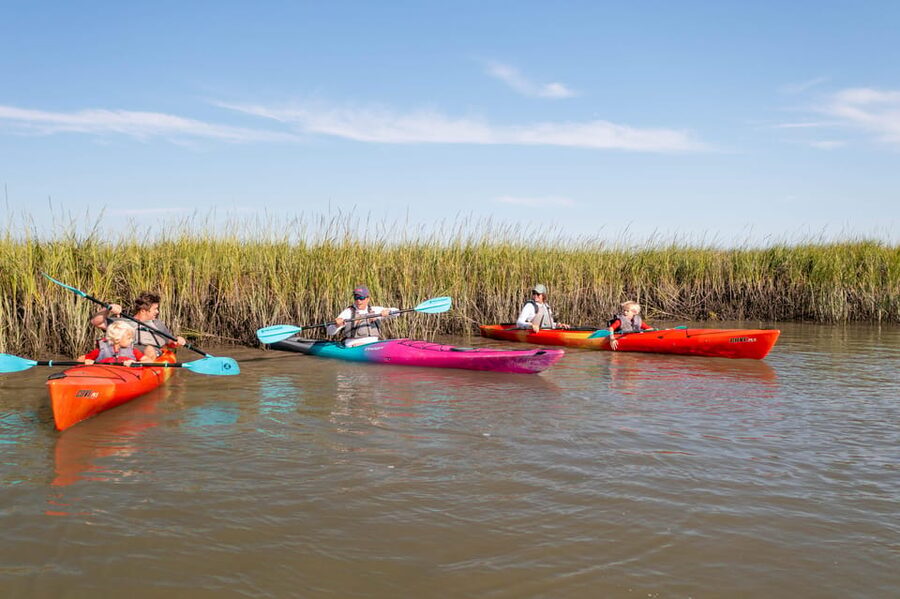 Charleston: Folly Beach Morning Kayak Dolphin Safari - Is $55 a fair price for two hours?