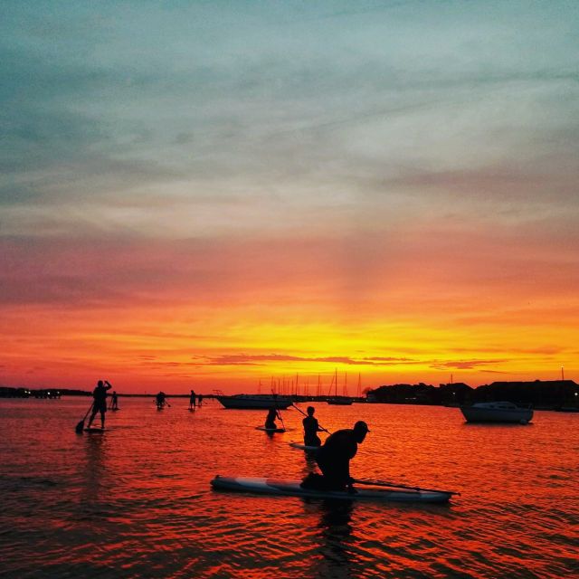 Charleston: Folly Beach Stand Up Paddleboard Dolphin Safari - Key Points Before You Book
