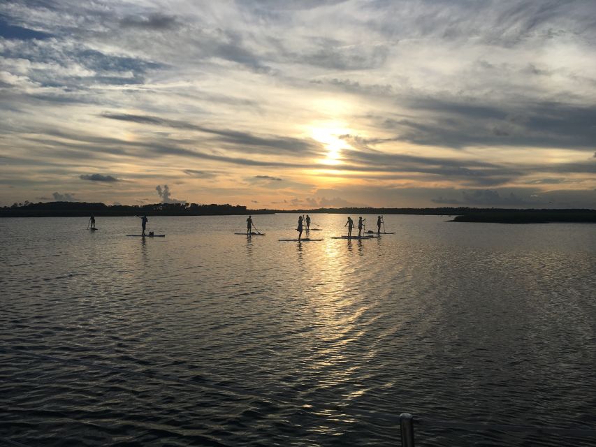 Charleston: Folly Beach Stand Up Paddleboard Dolphin Safari - What to Wear and Carry