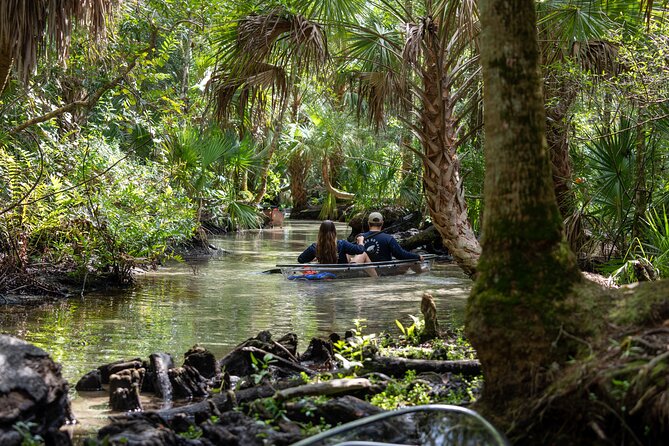 Chassahowitzka River Clear Kayak Springs & Manatee Tours - Key points to know before you paddle