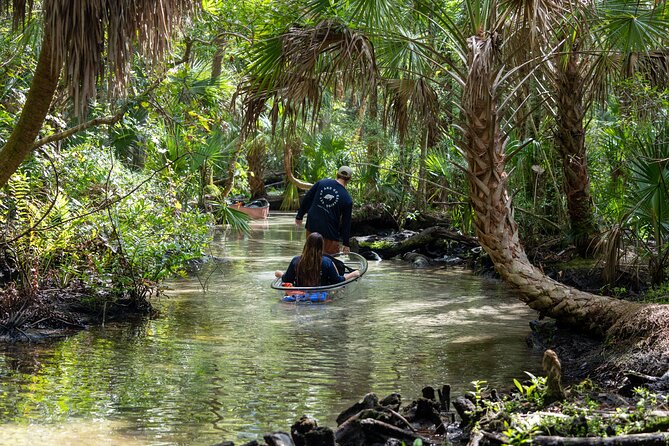Chassahowitzka River Clear Kayak Springs & Manatee Tours - Baird Creek and the Old Florida feel
