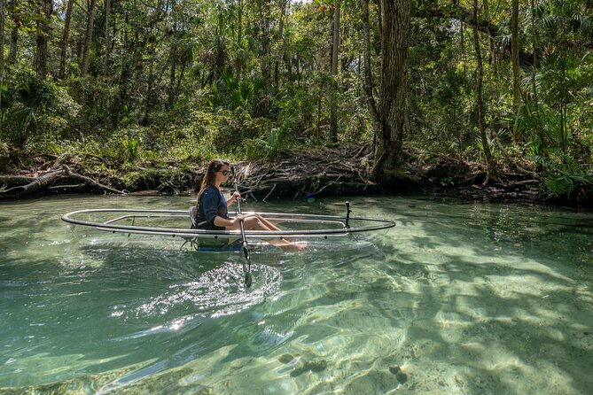 Chassahowitzka River Clear Kayak Springs & Manatee Tours - Seven Sisters Springs and the limestone tunnels