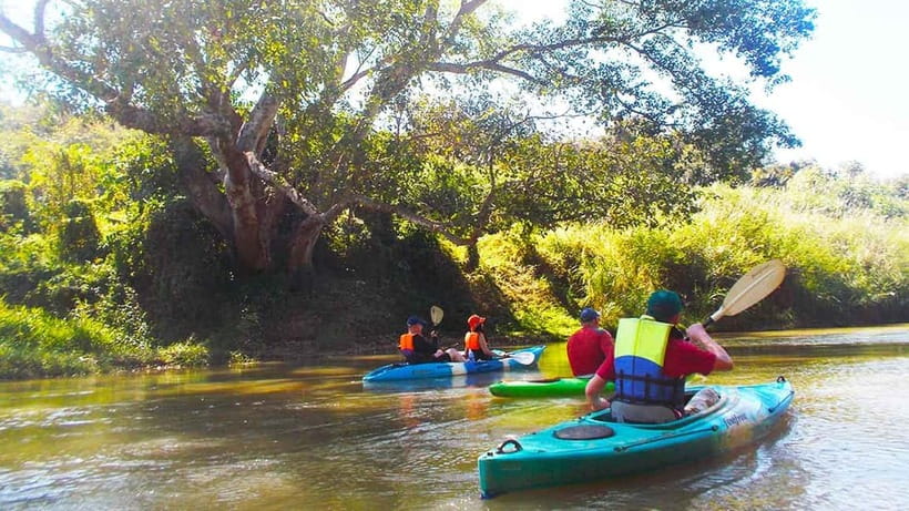 Chiang Mai: 15 km Leisure River Kayaking at Mae Ngat forest - Who will enjoy this day most