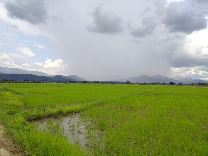 Chiang Mai: 25km Leisure Mountain Biking & Jungle Kayaking - Trading the bike for a kayak