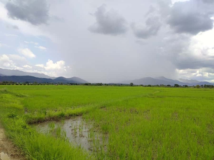Chiang Mai: 25km Leisure Mountain Biking & Jungle Kayaking - Lunch at a plantation restaurant
