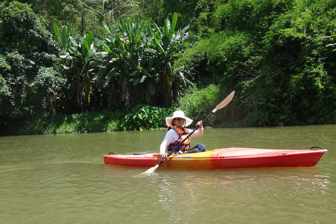 Chiang Mai Biking & River Kayak : Gentle Thrills in a Lush Valley - Why this half-day works so well from Chiang Mai