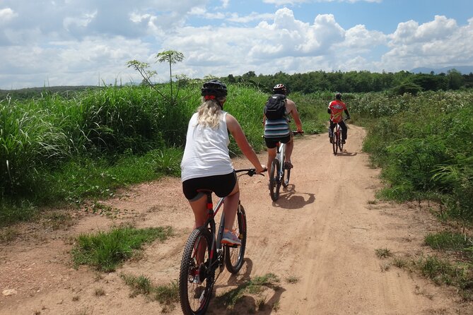 Chiang Mai Biking & River Kayak : Gentle Thrills in a Lush Valley - Who should book this Chiang Mai outdoor tour?