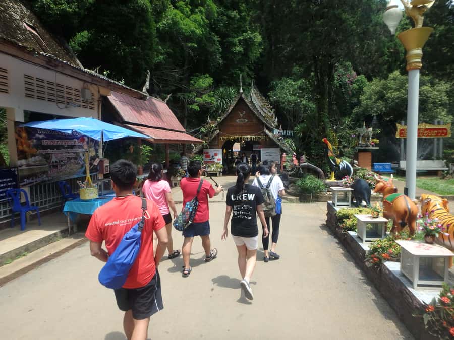 Chiang Mai: Full-Day Chiang Dao Caving & Jungle Kayaking - Kayaking the Mae Ping through bamboo country