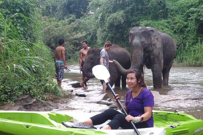 Chiang Mai: Jungle Kayak Adventure with Rapids & Elephants - Elephants beside the river