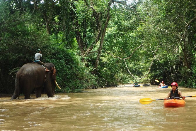 Chiang Mai: Jungle Kayak Adventure with Rapids & Elephants - Lost Canyon for advanced paddlers