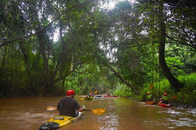 Chiang Mai : Kayak the Jungle Rivers of Chiang Dao Valley! - From Chiang Mai to the Chiang Dao foothills