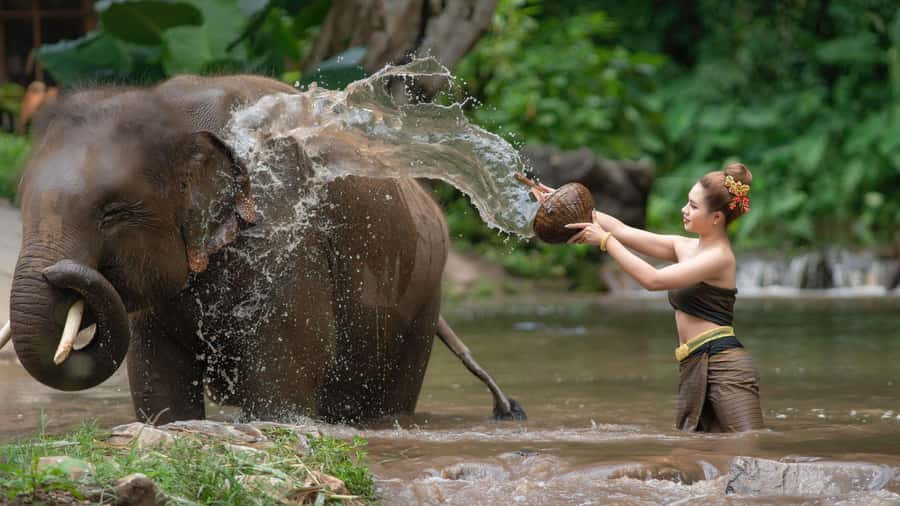 Chitwan: Jungle Safari Tour with Canoe Ride in Forest River - At a glance