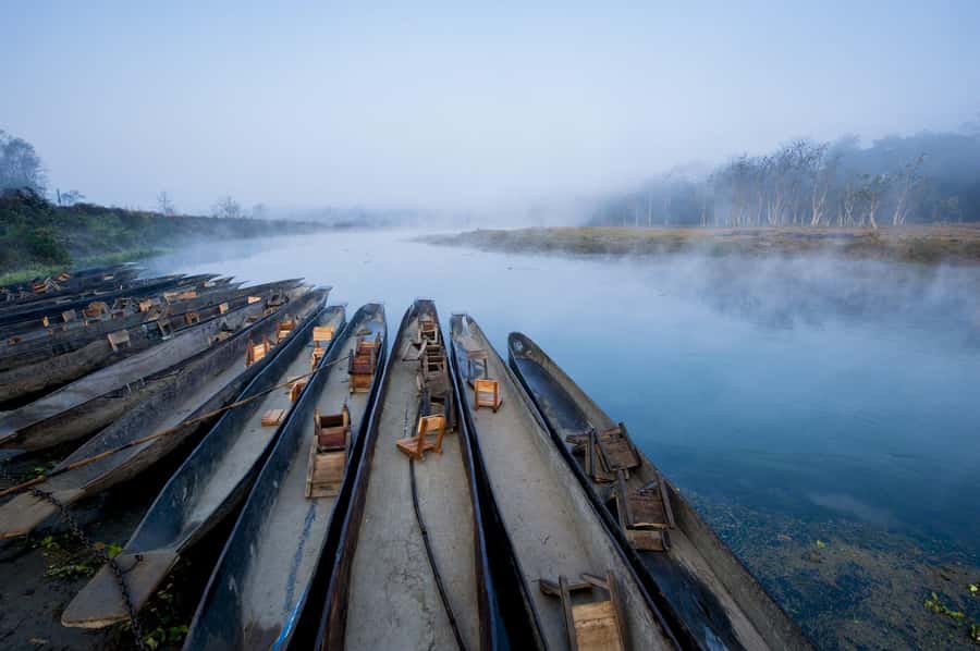 Chitwan: Jungle Safari Tour with Canoe Ride in Forest River - Day 2: Jeep safari, gharials, and the river