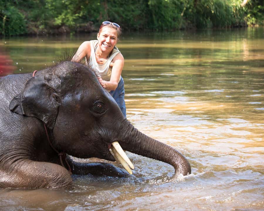 Chitwan: Jungle Safari Tour with Canoe Ride in Forest River - Best time to visit Chitwan