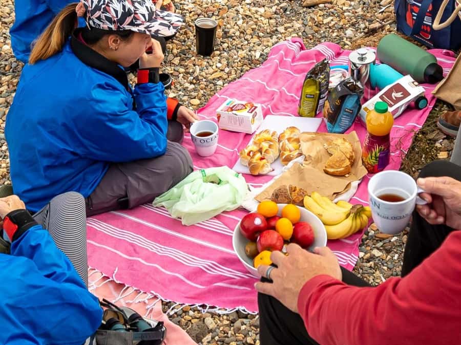 Christchurch: Sea Kayaking Tour of Lyttelton Harbour - Should You Book It?