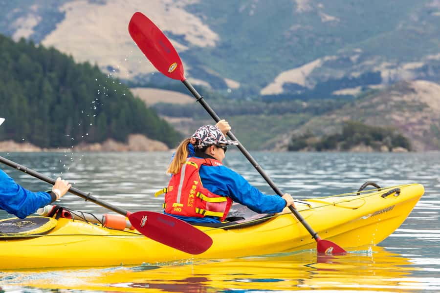 Christchurch: Sea Kayaking Tour of Lyttelton Harbour - Paddling the Inner Harbour