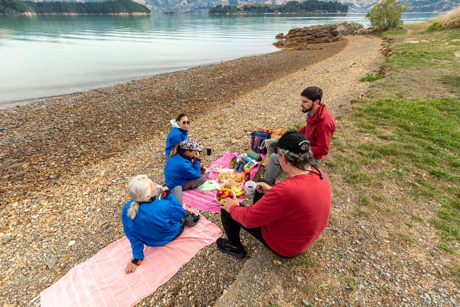Christchurch: Sea Kayaking Tour of Lyttelton Harbour - Quail Island: History, Lunch, and Free Time