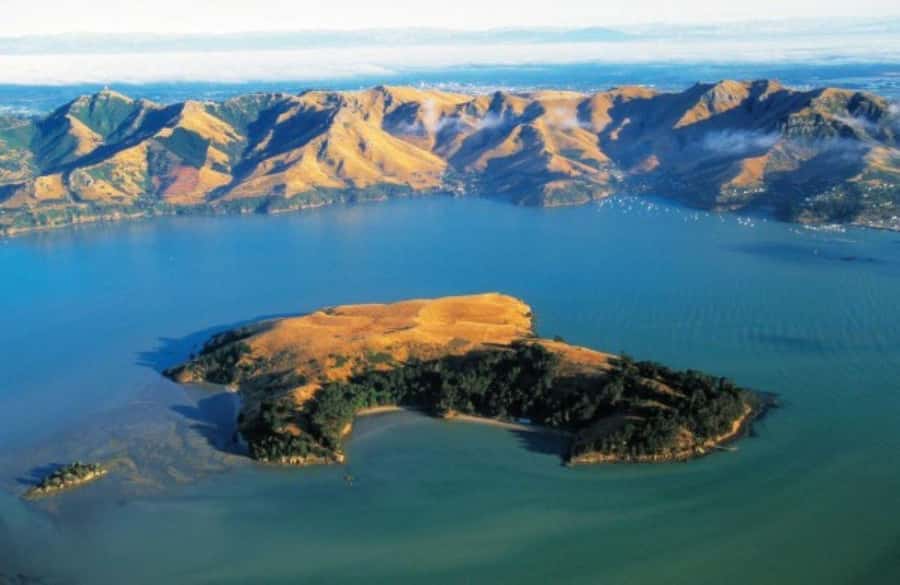 Christchurch: Sea Kayaking Tour of Lyttelton Harbour - What the $268 Price Includes