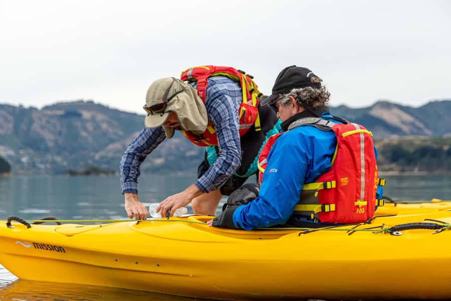 Christchurch: Sea Kayaking Tour of Lyttelton Harbour - Weather, Clothing, and Daily Practicalities
