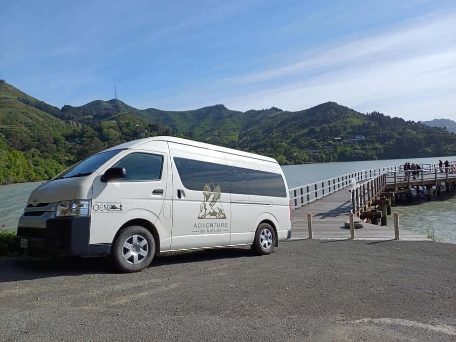 Christchurch: Sea Kayaking Tour of Lyttelton Harbour - Who Should Book This Harbour Adventure