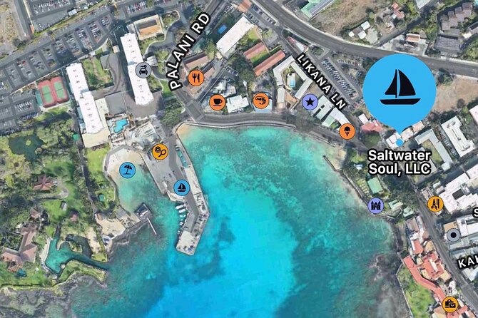 Clear Bottom Kayak Rentals in Kailua-Kona - The chance of spinner dolphins