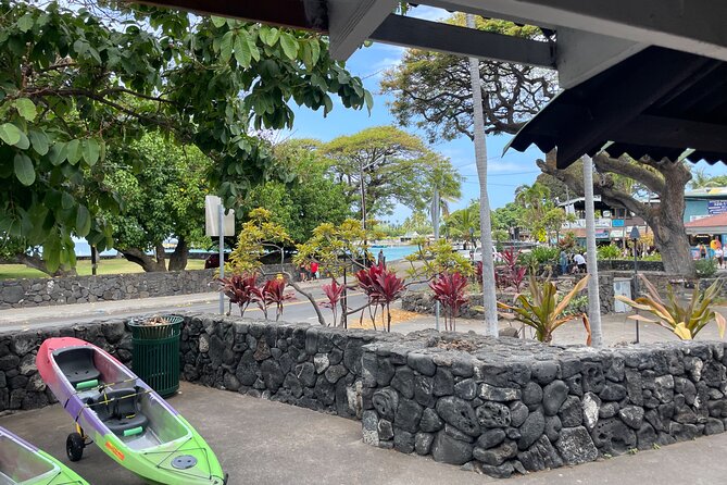 Clear Bottom Kayak Rentals in Kailua-Kona - Who will enjoy this most