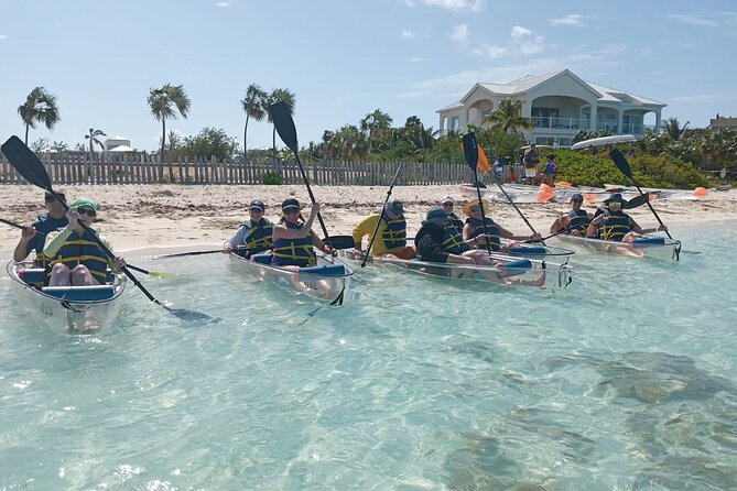 Clear Bottom Kayaks Mangrove Tour - Mangrove Cay Wildlife