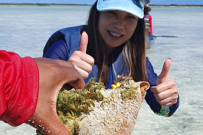 Clear Bottom Kayaks Mangrove Tour - The Two-Hour Pace
