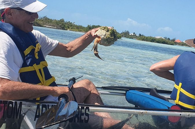 Clear Bottom Kayaks Mangrove Tour - Comfort, Safety, and Family Fit