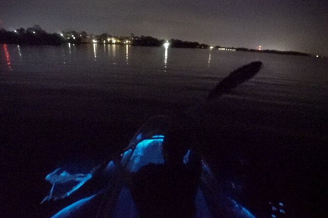 Clear Kayak Bioluminescence Tour - Why the water can glow around your paddle