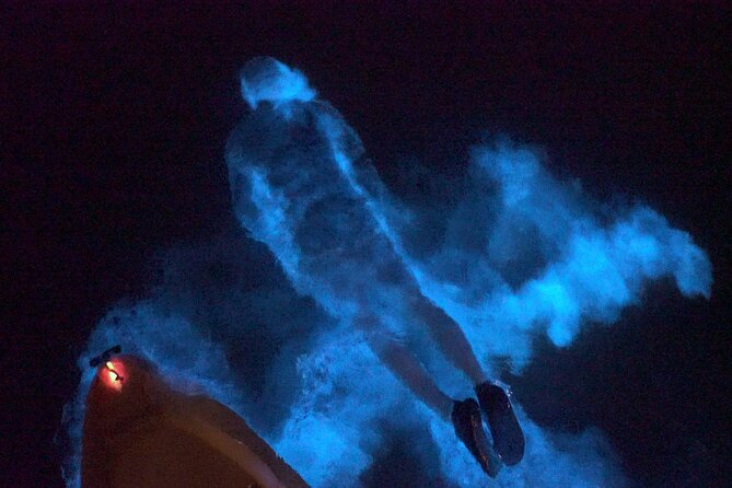 Clear Kayak Bioluminescence Tour - What to bring and what to expect from the gear