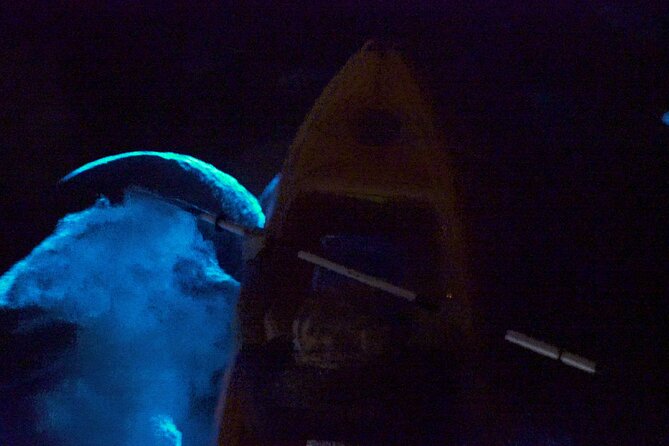 Clear Kayak Bioluminescence Tour - Weather, timing, and cancellation rules