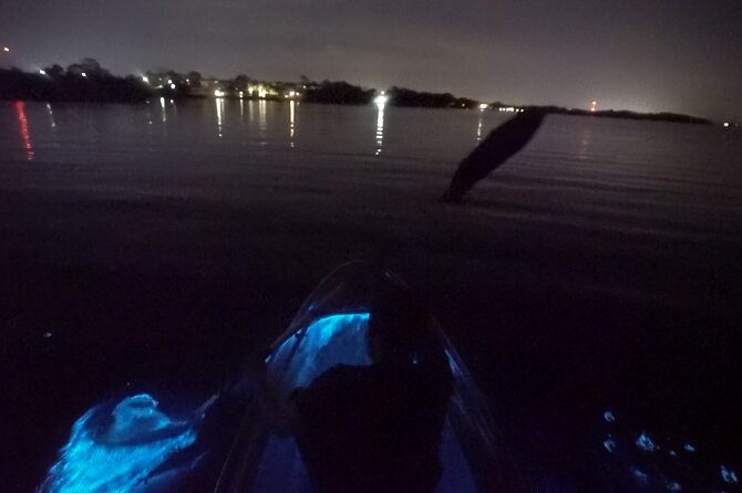 Clear Kayak Bioluminescence Tour - What the two-hour itinerary feels like