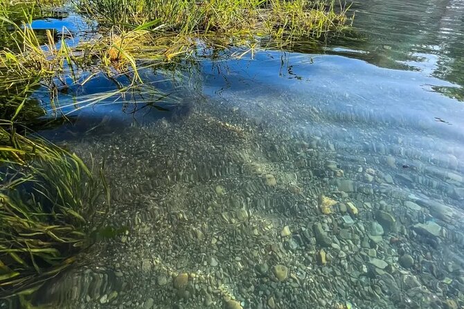 Clear Kayak Day Adventure Tour in San Marcos - What the 75-minute paddle feels like