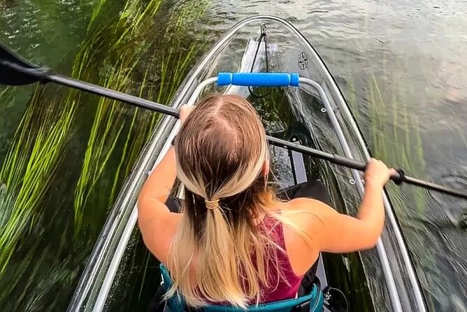 Clear Kayak Day Adventure Tour in San Marcos - The riverbed, springs, fish, and turtles