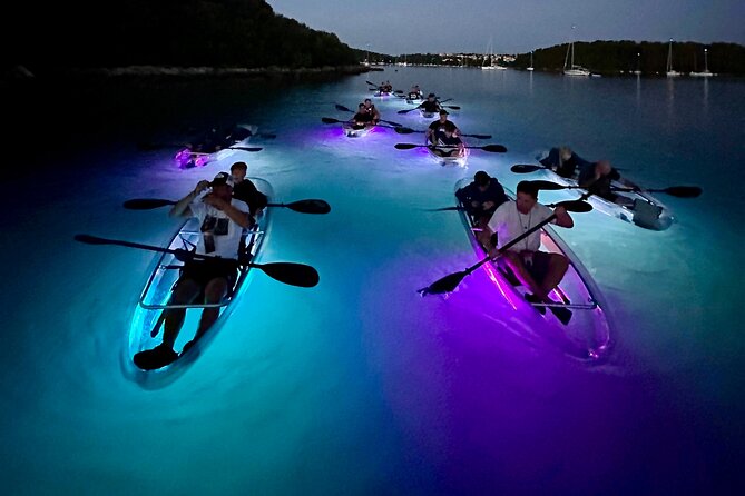 Clear Kayak Glow Night Tour - The 10-minute SUP lesson