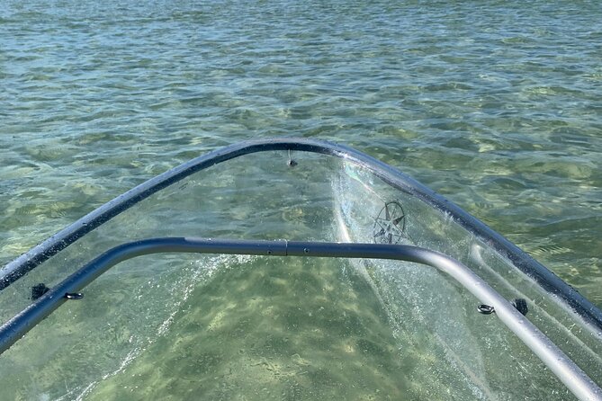 Clear Kayak Guided Eco Tour in North Naples - The guide can make or break the morning