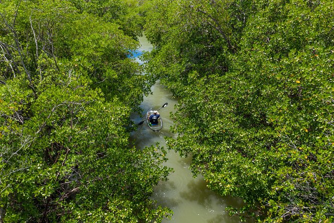 Clear Kayak Guided Eco Tour in North Naples - Setting off from Cocohatchee River Marina